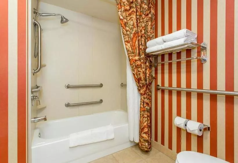 障害者適応デラックスルーム, Holiday Inn Express & Suites Bloomington, An Ihg