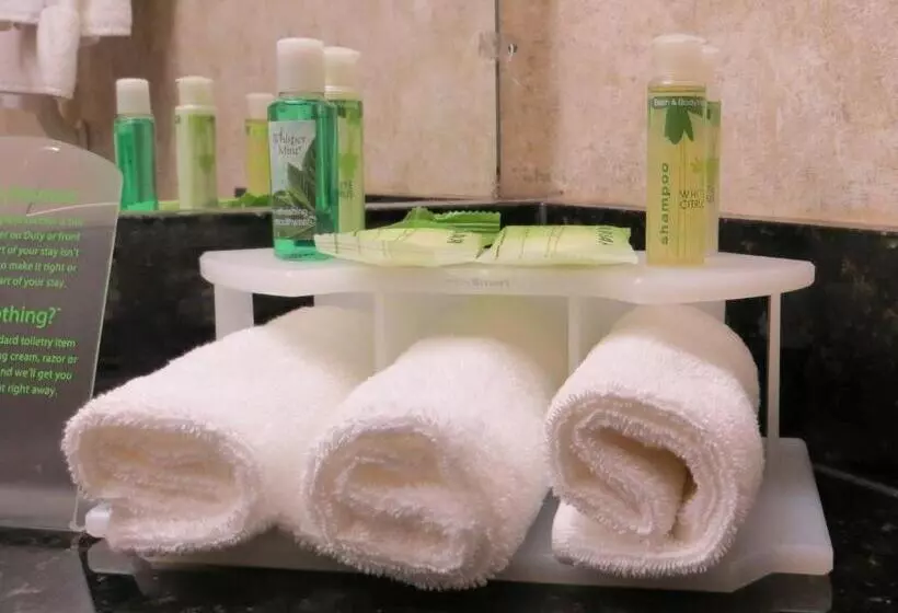 障害者適応デラックスルーム, Holiday Inn Express & Suites Bloomington, An Ihg