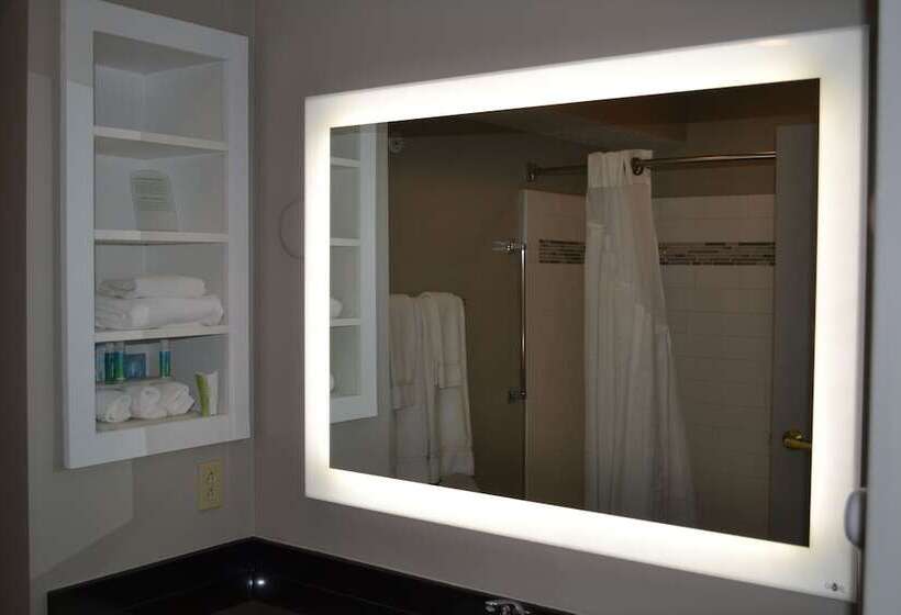스탠다드 룸, Holiday Inn Express & Suites Kent   University Area By Ihg