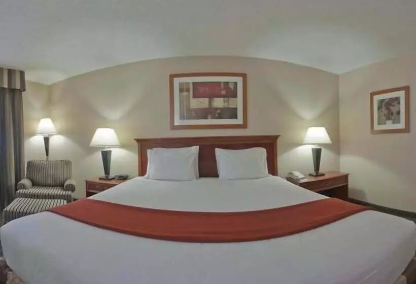 スタンダードルーム, Holiday Inn Express & Suites Kent   University Area By Ihg