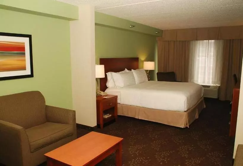 キングサイズベッドのスイートルーム, Holiday Inn Express Birmingham Irondale East, An Ihg