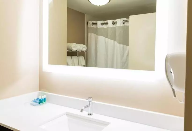 キングサイズベッドのスイートルーム, Holiday Inn Express Birmingham Irondale East, An Ihg