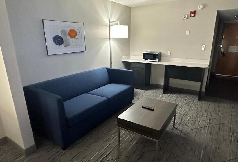 جناح سرير كينج, Holiday Inn Express Birmingham Irondale East, An Ihg