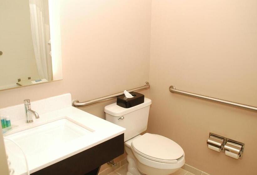 غرفة قياسية لذوى الاحتياجات الخاصة, Holiday Inn Express Birmingham Irondale East, An Ihg