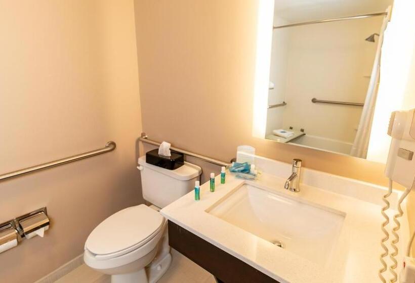 غرفة قياسية لذوى الاحتياجات الخاصة, Holiday Inn Express Birmingham Irondale East, An Ihg