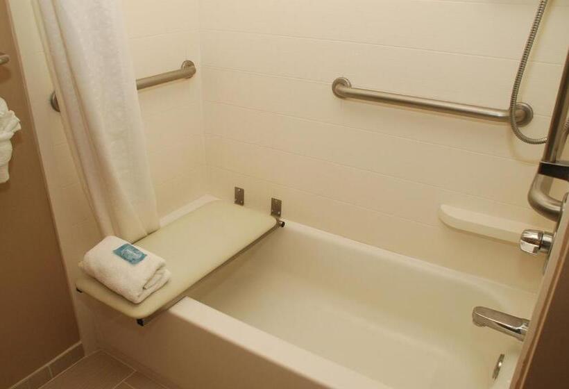 Люкс Адаптированный для Инвалидов, Holiday Inn Express Birmingham Irondale East, An Ihg