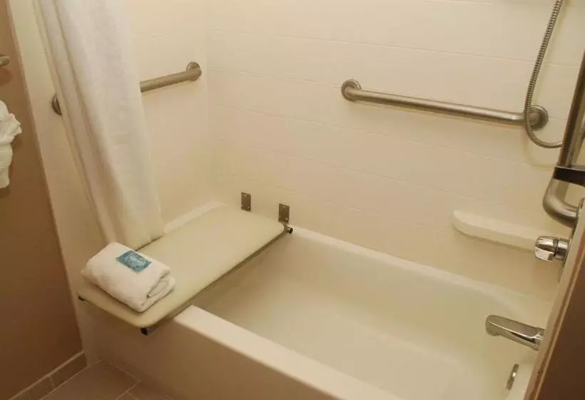 身障者適用スイートルーム, Holiday Inn Express Birmingham Irondale East, An Ihg