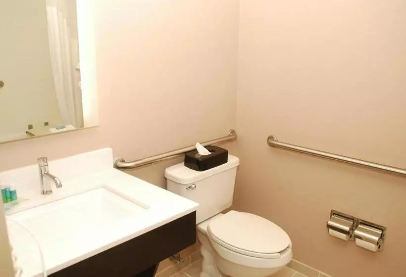 身障者適用スイートルーム, Holiday Inn Express Birmingham Irondale East, An Ihg