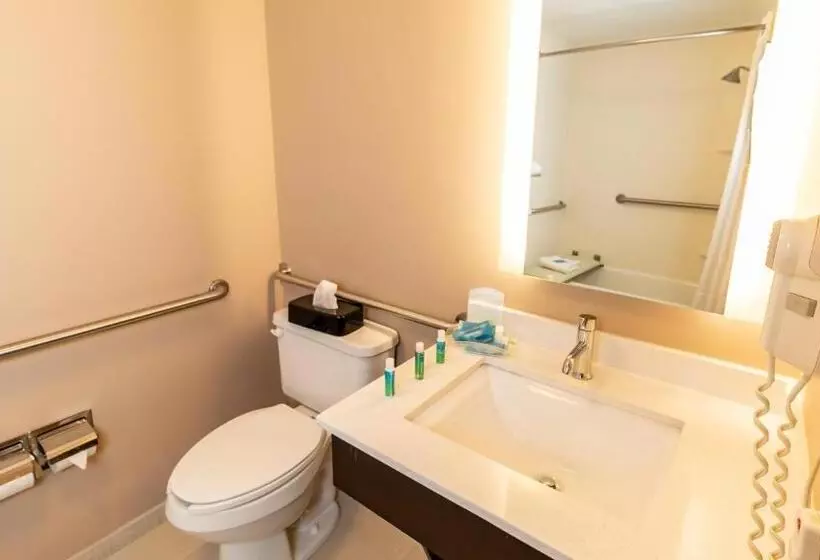 身障者適用スイートルーム, Holiday Inn Express Birmingham Irondale East, An Ihg
