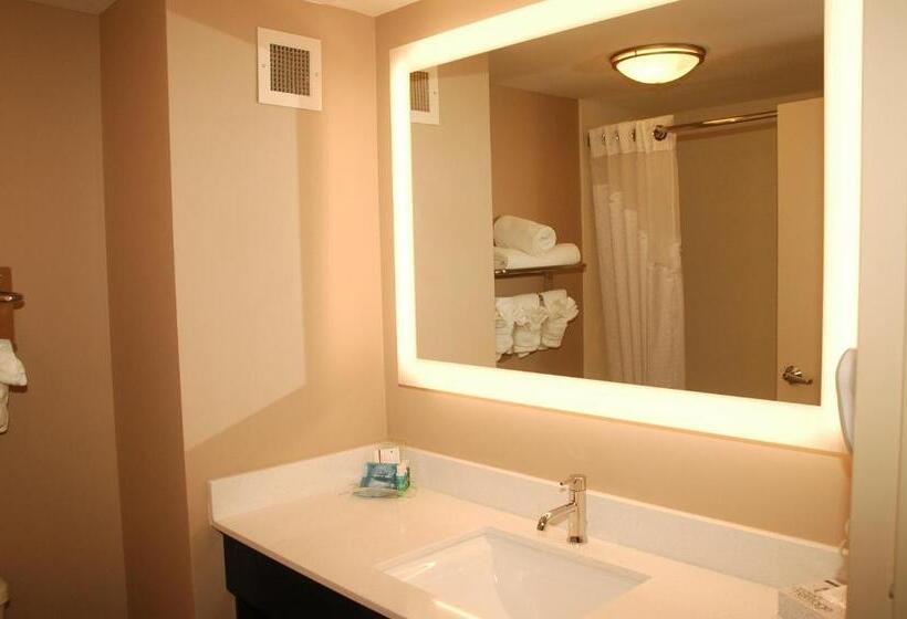 جناح لذوى الاحتياجات الخاصة, Holiday Inn Express Birmingham Irondale East, An Ihg