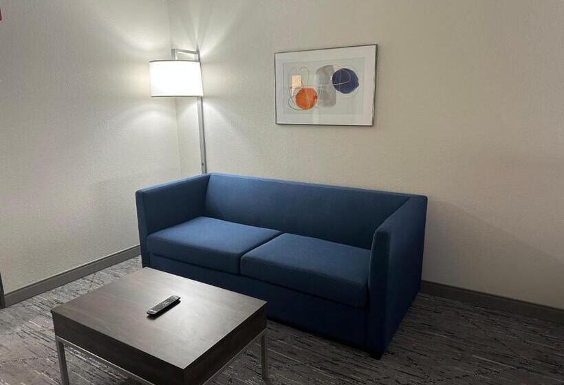 جناح لذوى الاحتياجات الخاصة, Holiday Inn Express Birmingham Irondale East, An Ihg