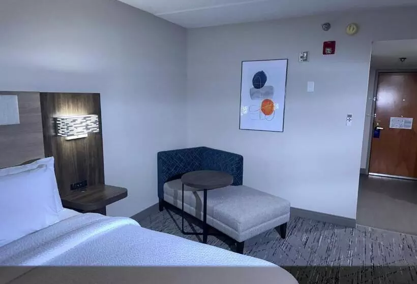 身障者適用キングサイズベッドルーム, Holiday Inn Express Birmingham Irondale East, An Ihg