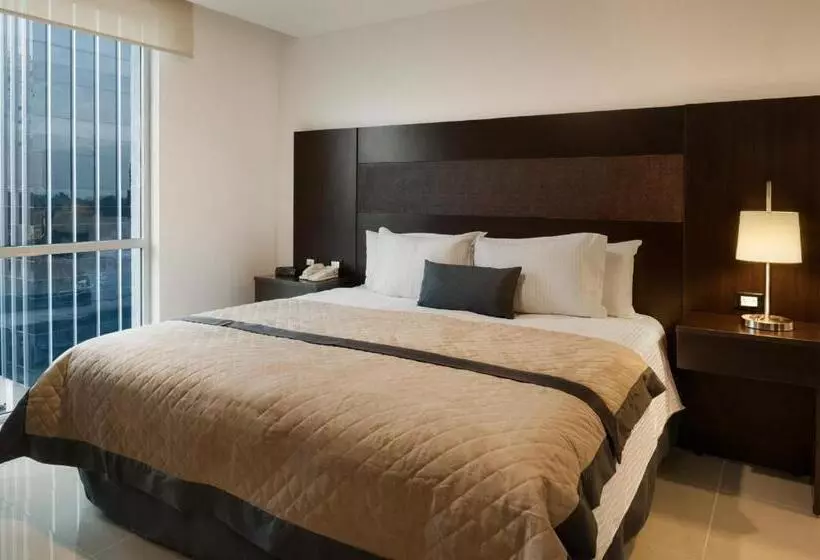 シングルデラックスルーム, Wyndham Garden Guadalajara Acueducto