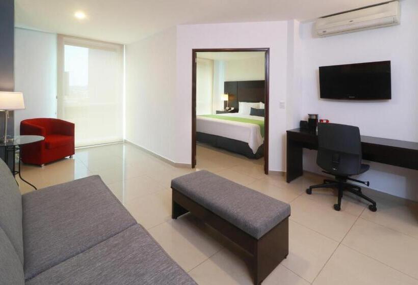 جناح جونيور سرير كينج, Wyndham Garden Guadalajara Acueducto