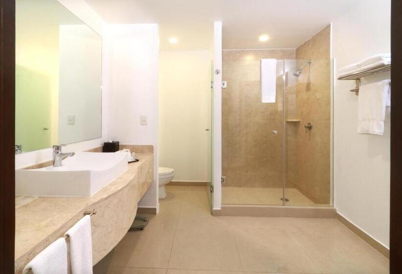 جناح جونيور سرير كينج, Wyndham Garden Guadalajara Acueducto