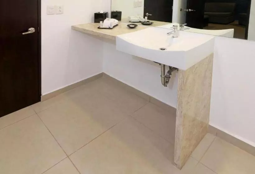 身障者適用スタンダードルーム, Wyndham Garden Guadalajara Acueducto