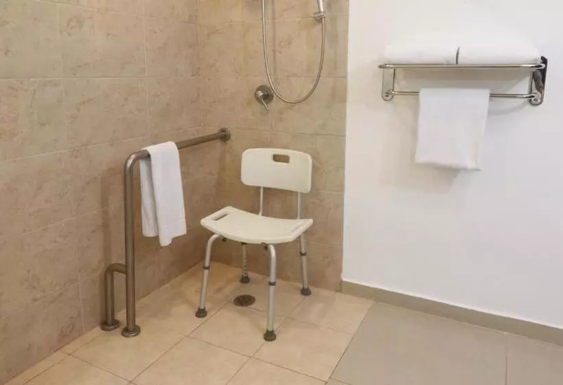 身障者適用スタンダードルーム, Wyndham Garden Guadalajara Acueducto