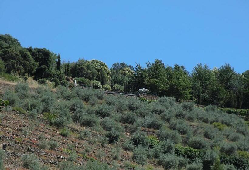 침실 1개 주택, Quinta Das Aveleiras