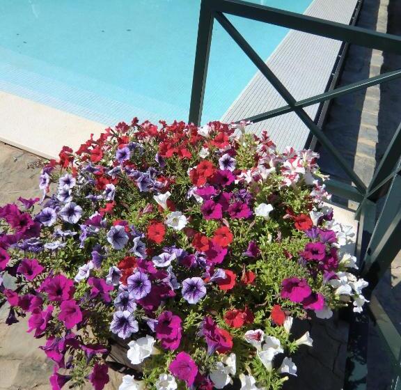 샬레, Quinta Das Aveleiras