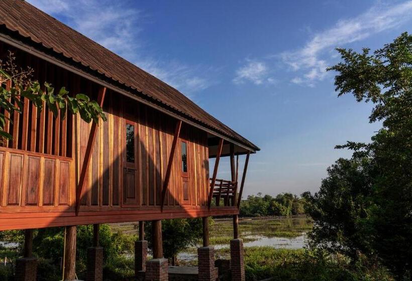 בקתה דלוקס, Kingfisher Ecolodge