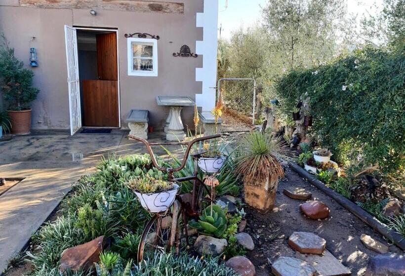 샬레, Carmel Villa B&b Or Self Catering