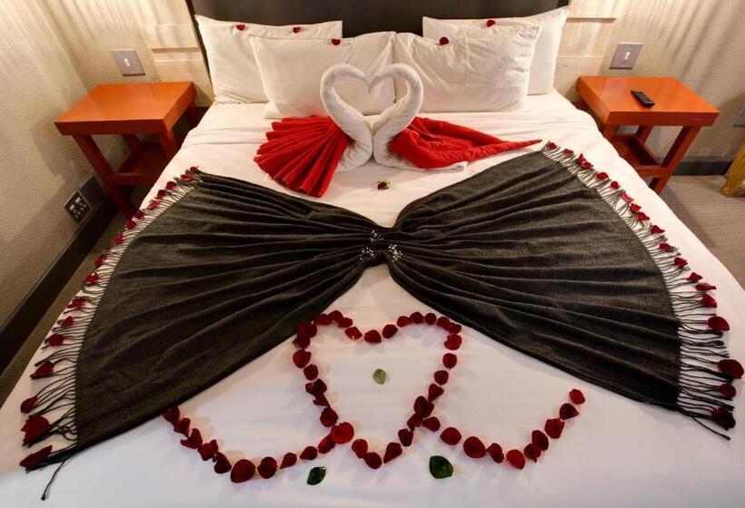 غرفة قياسية, 26° South Bush Boho