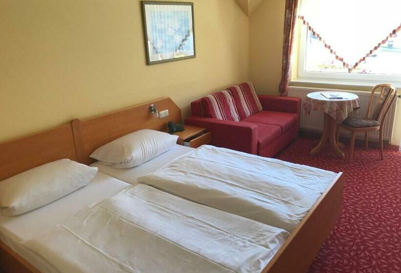 חדר סטנדרט יחיד, Landhaus Schend