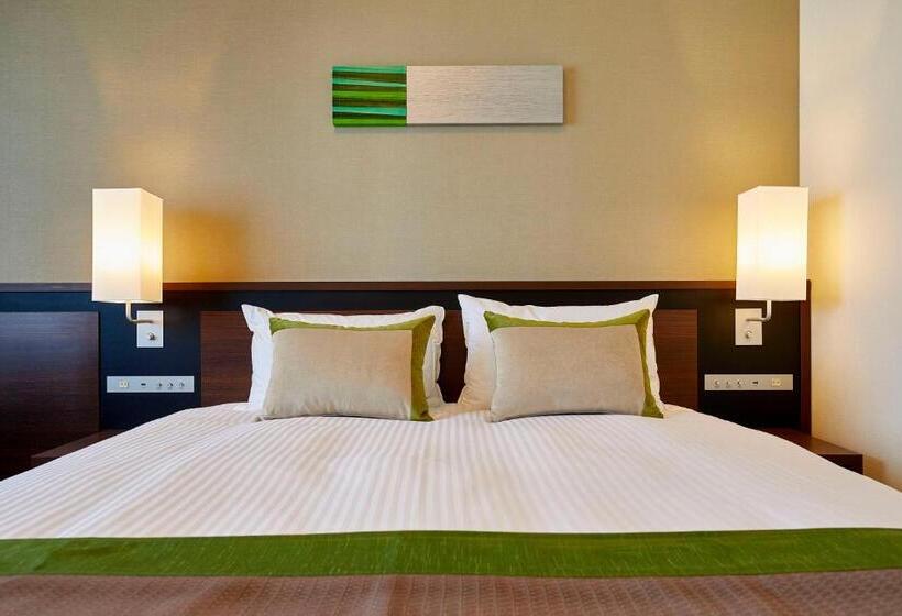 Habitació Estàndard, Lumiere Grande Nagareyamaotakanomori