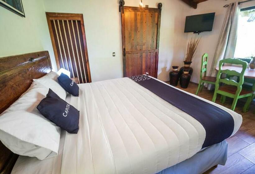 جناح جونيور, Pozo Viejo