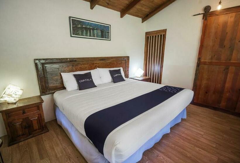 جناح جونيور, Pozo Viejo