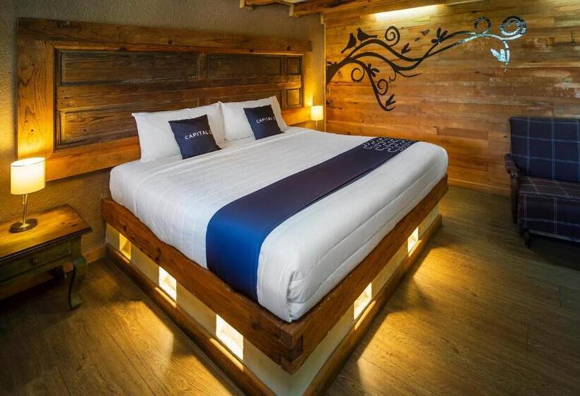 غرفة ديلوكس, Pozo Viejo