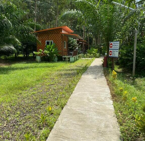 Номер Стандарт с Балконом, Khaosok Bamboo Huts Resort