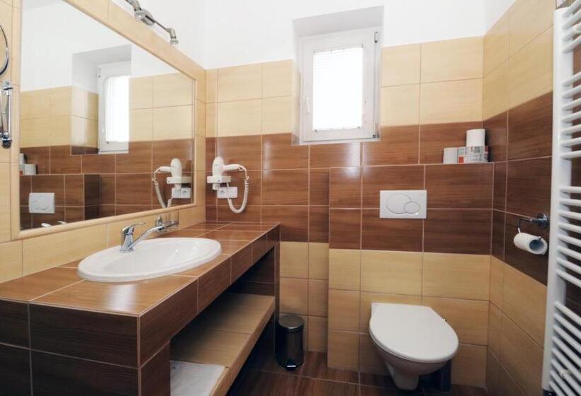 חדר סטנדרט יחיד, Penzion HŮrka