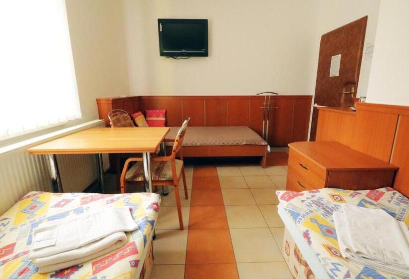 חדר סטנדרט יחיד מותאם לאדם עם מוגבלויות, Penzion HŮrka