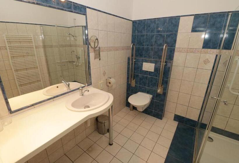 חדר סטנדרט יחיד מותאם לאדם עם מוגבלויות, Penzion HŮrka