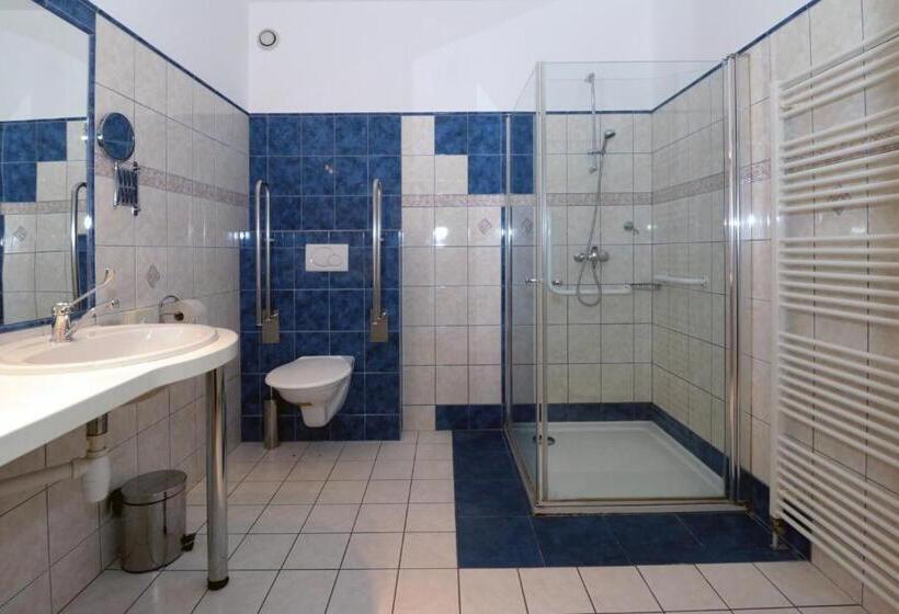 חדר סטנדרט יחיד מותאם לאדם עם מוגבלויות, Penzion HŮrka