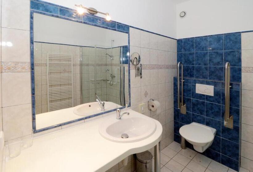 חדר סטנדרט יחיד מותאם לאדם עם מוגבלויות, Penzion HŮrka