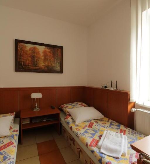 חדר סטנדרט יחיד מותאם לאדם עם מוגבלויות, Penzion HŮrka