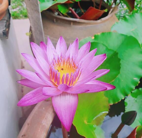 スタンダードルーム, ฮักเคียงโขง Hug Khieng Khong Nongkhai Hostel