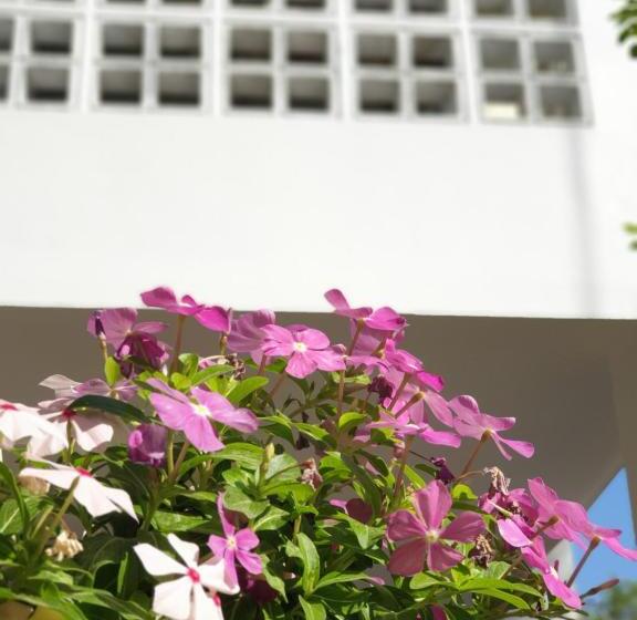 Номер Стандарт, ฮักเคียงโขง Hug Khieng Khong Nongkhai Hostel