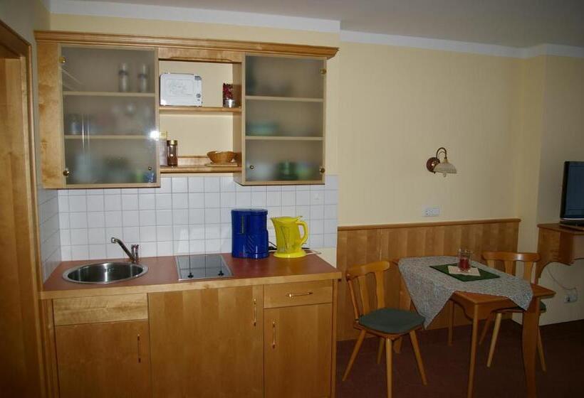 スタンダードスタジオ, Pension Zur Alten Schmiede