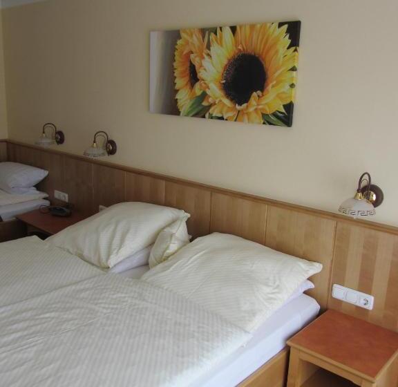 1ベッドルームアパートメント, Pension Zur Alten Schmiede