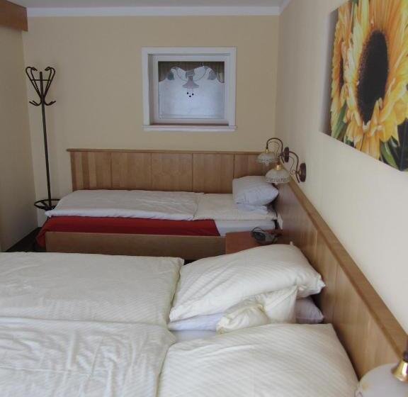 １ベッドルームアパートメント, Pension Zur Alten Schmiede