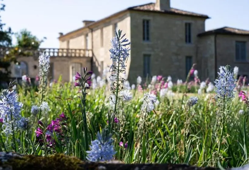 ガーデンビューのスタンダードワンルーム, Chateau De Ferrand