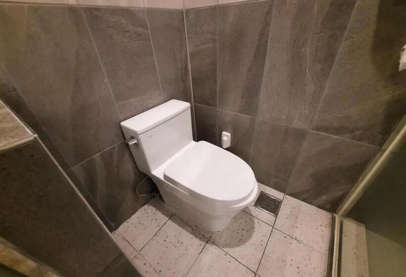 اتاق پرمیوم, Rein Hotel Busan Yeonsan