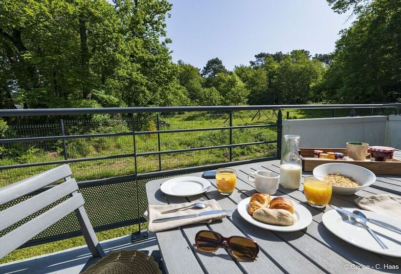 带1个卧室的高级公寓, Cerise Nantes Atlantis