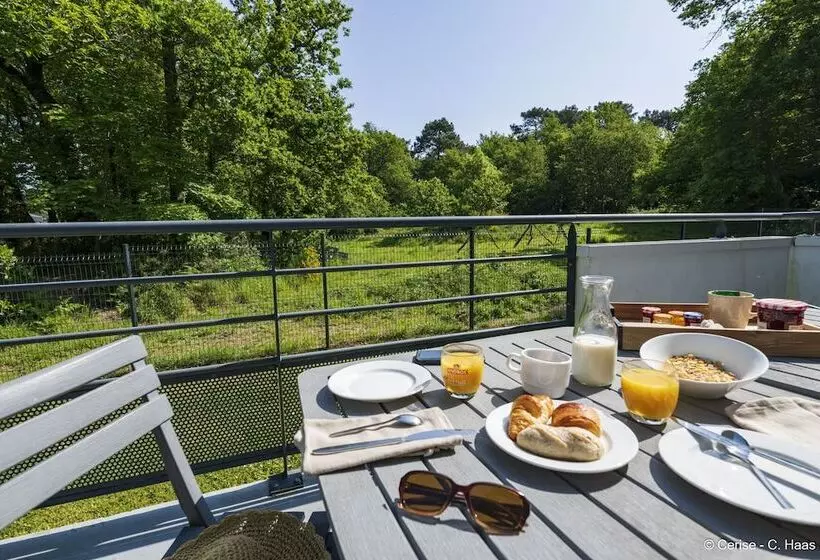 آپارتمان سوپریور 1 خوابه, Cerise Nantes Atlantis