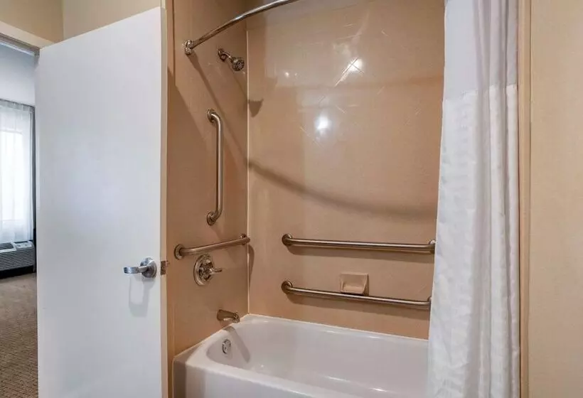 スイート, Comfort Suites Mobile West Tillmans Corner