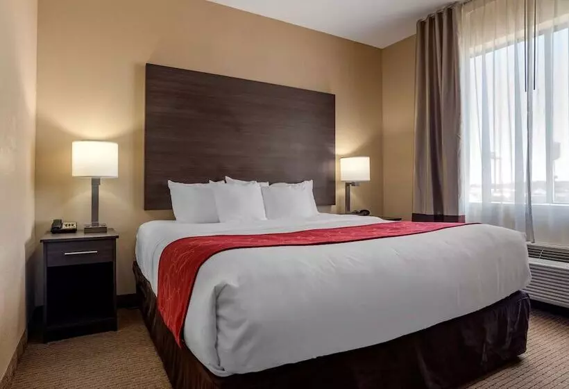 スイート, Comfort Suites Mobile West Tillmans Corner