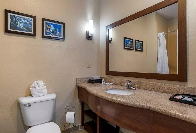 スイート, Comfort Suites Mobile West Tillmans Corner